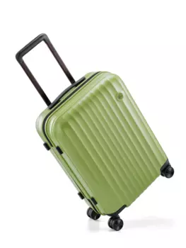 Чемодан NINETYGO Elbe Luggage 20" зеленый