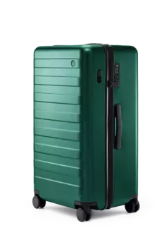 Чемодан NINETYGO Rhine PRO plus Luggage 29'' зеленый