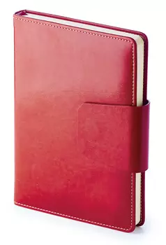 Ежедневник Bruno Visconti PRESTIGE A5 145x210мм недатир. искусст. кожа 160л книжный переплет магнитный хлястик красный