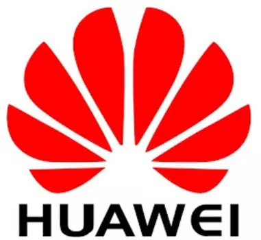 Ключ активации Huawei EC9BMEFORB01 (88036TXJ)