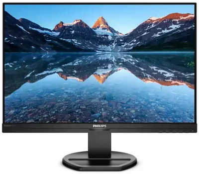 Монитор 24,1" Philips 240B9 1920x1200 75Гц IPS W-LED 16:10 4ms(GtG) VGA DVI HDMI DP HDCP 1.4 (HDMI/DP) 4*USB 3.2 50M:1 1000:1 178/178 300cd Tilt HAS Pivot Swivel Speakers Black (240B9/00)