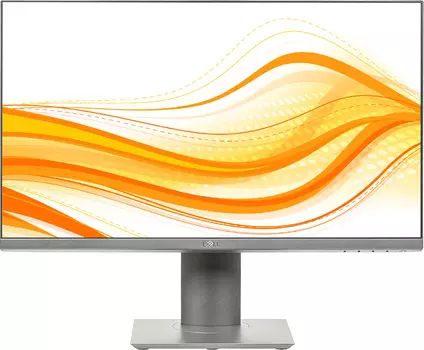 Монитор Dell 23.8" P2421D черный IPS LED 8ms 16:9 HDMI матовая HAS Pivot 1000:1 300cd 178гр/178гр 2560x1440 DisplayPort WQHD USB