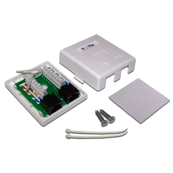 Настенная розетка, 2 порта RJ-45 категории 6, UTP, белая (TWT-SM2-4545/6-WH)