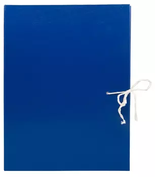 Папка архивная 4 завязки Silwerhof КБЗ-4-80Р бумвинил корешок 80мм разобранный A4 ассорти