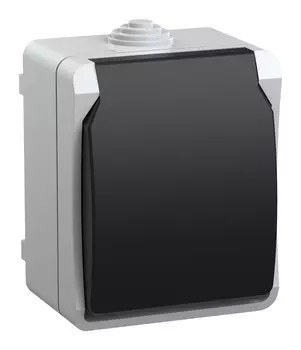 Розетка силовая IEK Форс (ERS12-K03-16-54-DC) откр. зазем. крыш. IP54 серый/черный (упак.:1шт)
