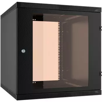 Шкаф коммутационный C3 Solutions WALLBOX LIGHT (NT176963) настенный 6U 600x650мм пер.дв.стекл несъемн.бок.пан. направл.под закл.гайки 25кг черный 600мм 19.5кг 340мм IP20 сталь