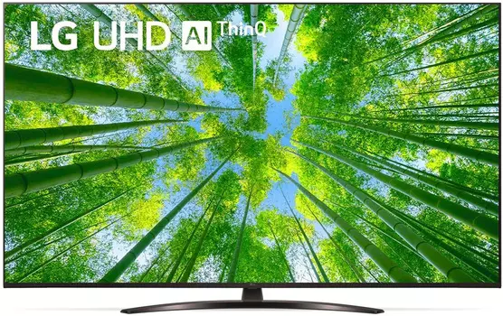Телевизор LED LG 65" 65UQ81009LC.ADKG темно-синий Ultra HD 60Hz DVB-T DVB-T2 DVB-C DVB-S DVB-S2 USB WiFi Smart TV (RUS)