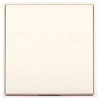 Заглушка Panasonic Arkedia Slim WNTC07012BG-RU 1x пластик бежевый (упак.:1шт)