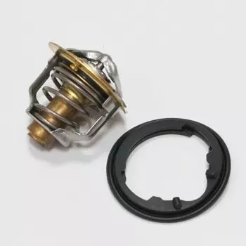 Термостат "TAMA" / 19301-PV0-305/6