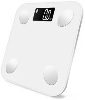 Body Fat Scale