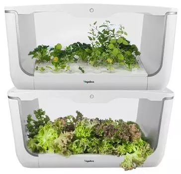 Домашняя ферма VegeBox H-BOX Level 2 (White)