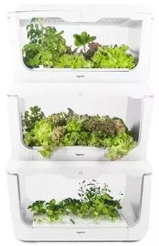 Домашняя ферма VegeBox H-BOX Level 3 (White)