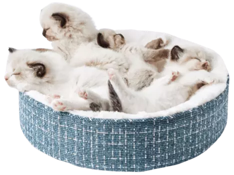 Лежак для кошек Petkit Deep Seep Cat Bed P7107 (Blue)