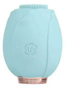 Массажер-щетка для лица Gezatone AMG110 (Blue)