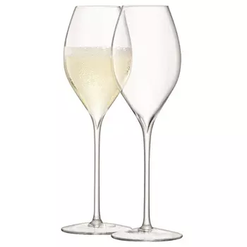 Набор из 2 бокалов для просекко LSA International Wine, 370 мл