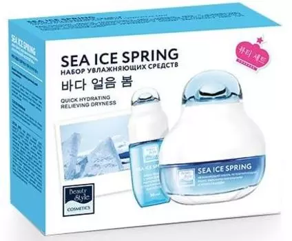 Sea Ice Spring