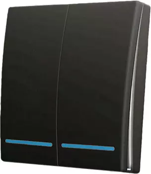 Умный выключатель Sibling Powerlight-M2 на две клавиши