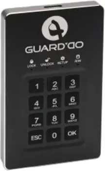 Защищенный накопитель Samurai GuardDo 500GB (Black)