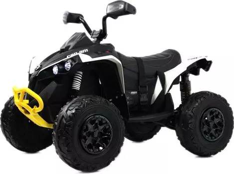 Детский электроквадроцикл RiverToys BRP Can-Am Renegade (Y333YY) белый