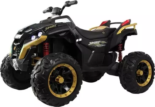 Детский электромобиль RiverToys (Z888VO) (черный)