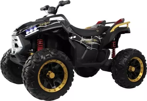 Детский электромобиль RiverToys (Z999VO) (черный спайдер)
