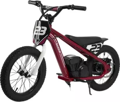 Детский электромотоцикл RiverToys A001AA фиолетовый