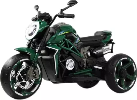 Детский электромотоцикл RiverToys C111MC зеленый