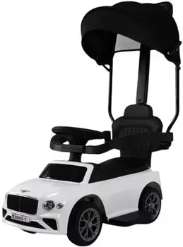 Детский толокар RiverToys (Z005ZZ-T-WHITE) белый