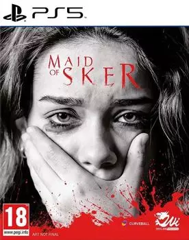 Игра Maid of Sker (PS5, русская версия)