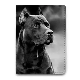 Обложка на паспорт BB1 натуральная кожа