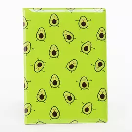 Обложка на паспорт Орландо пластик