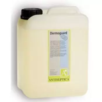 Антисептик Dermoguard PLUS гель для рук, 5л