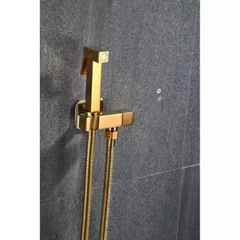 Аксессуар для биде Savol S-FXQ009B золото