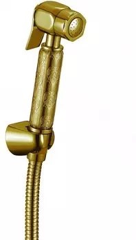 Аксессуар для биде Savol SK-PQT08C