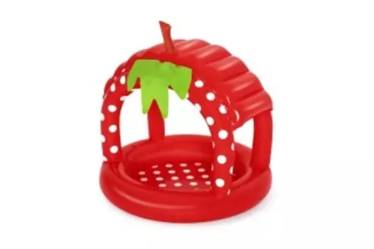 Бассейн BestWay 52387 Ягодка 91х91х91 26л