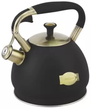 Чайник для плиты Alberg AL-3025