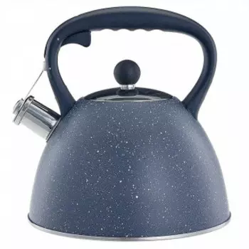 Чайник для плиты Alpenkok AK-534