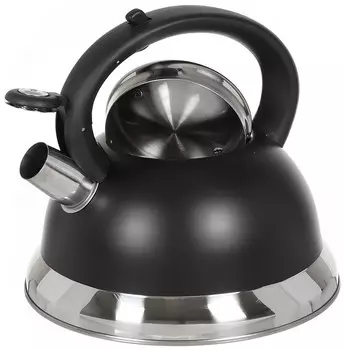 Чайник для плиты Daniks GS-04017 черный (355353)