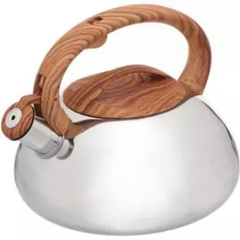 Чайник для плиты Daniks MSY-A010 -1 серебристый