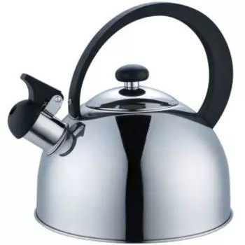 Чайник для плиты Добрыня DO-2904