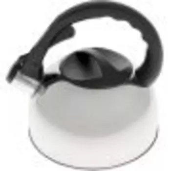 Чайник для плиты Добрыня DO-2908