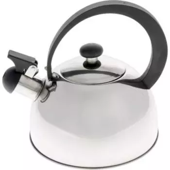 Чайник для плиты Добрыня DO-2909