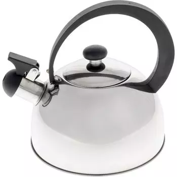Чайник для плиты Добрыня DO-2909