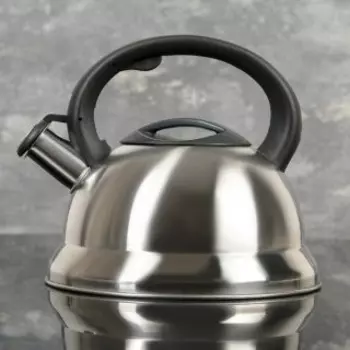 Чайник для плиты Доляна Рио 1405203 2,8л матовый