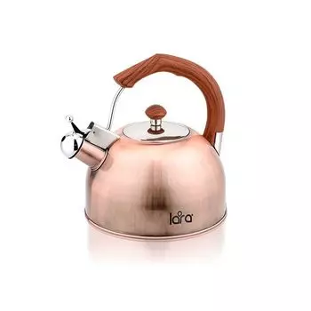 Чайник для плиты LARA LR00-18