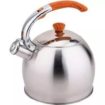 Чайник для плиты Teco TC-110