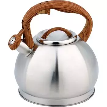 Чайник для плиты Teco TC-121