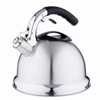 Чайник для плиты Vetta Вена зеркальный 847-009