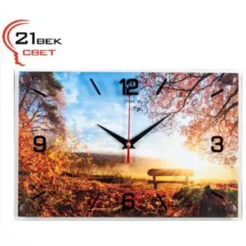 Часы настенные 21 ВЕК 2030-12