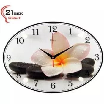 Часы настенные 21 ВЕК 2434-1239